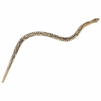 Koka lokanā čūska - 50 cm - Displejs (24 gab.)