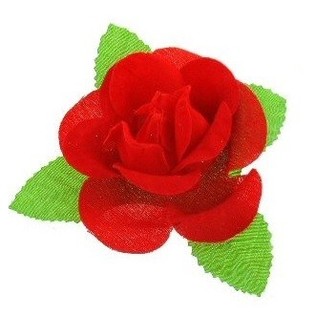 KORSAŽA - ROZE AR LAPU (24 gab.)