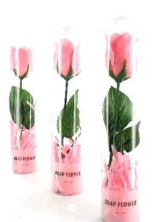 Ziepju zieds - roze (12 gab.)
