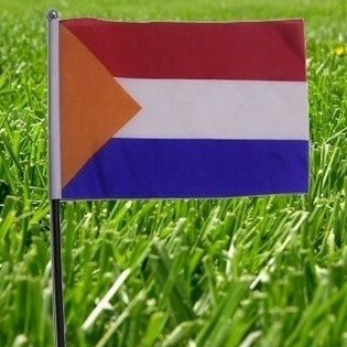 Nīderlandes karogs (22 gab.)