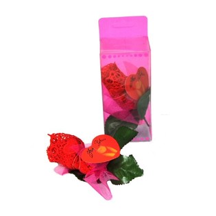 Rozes formas stringi