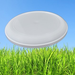STANDARTA FRISBIJS 21 CM (25 gab.)