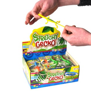 Stiepjamā Ķirzaka Displejā (36 gab.)