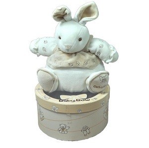 PLĪ&Scaron;A ROTAĻLIETA DĀVANU KASTĪTĒ BABY BOW - 8. MODELIS